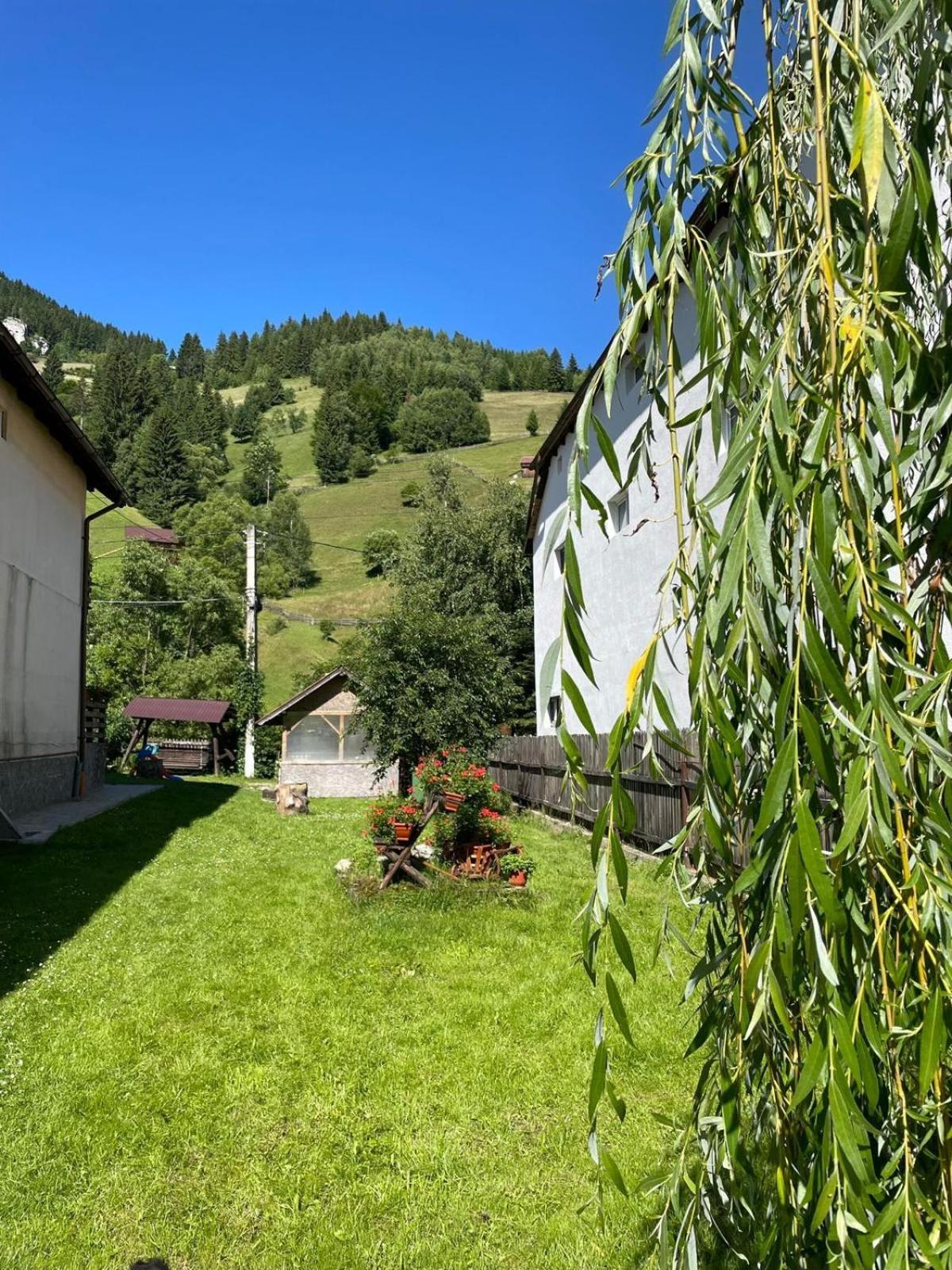 Casa Anastasia - Moieciu De Sus Moeciu De Sus Exterior photo